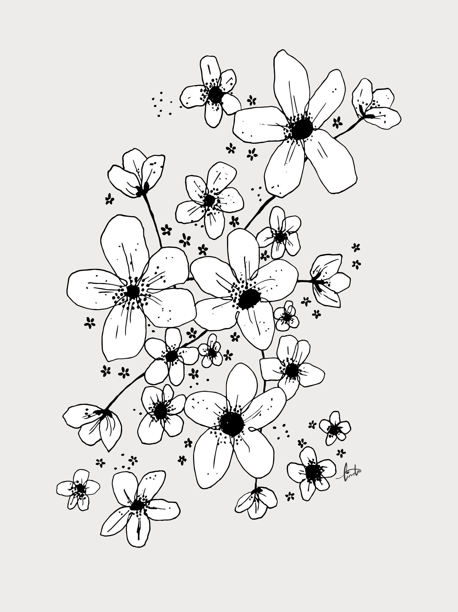 Lilou Lilou Juliste Anemone 30x40, Valkoinen