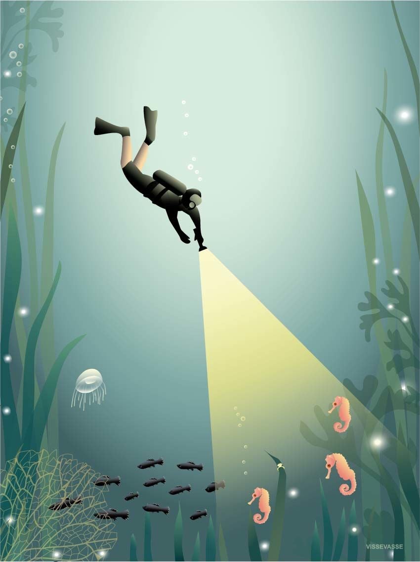 ViSSEVASSE Juliste The Diver 30x40