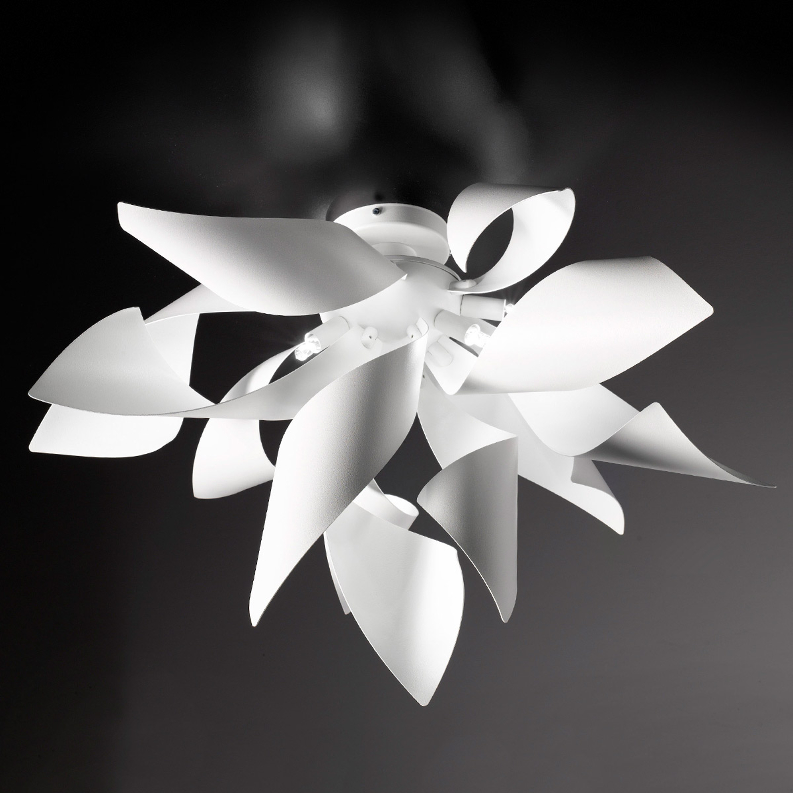 Design-kattovalaisin Ginger, 50 cm