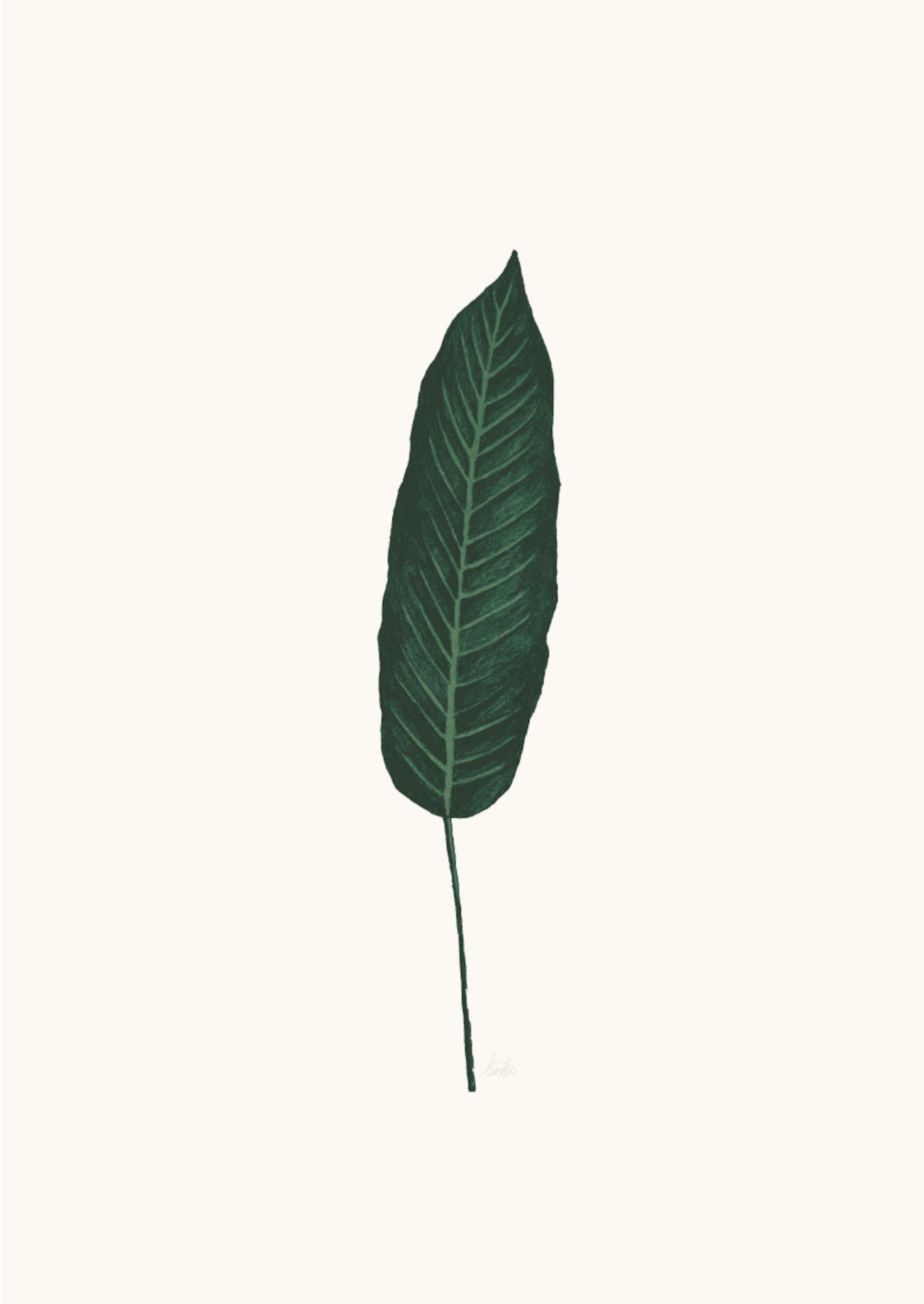 Petite Déco Juliste 21x30, Banana Leaf